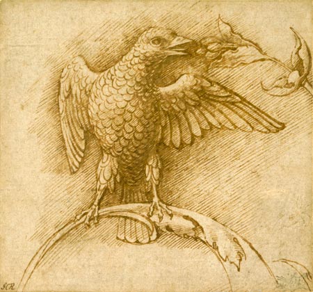 Andrea Mantegna, Oiseau sur une branche